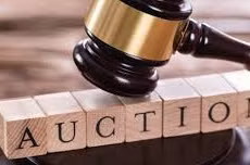 Ngày 09/4/2026, đấu giá toàn bộ dư nợ gốc, lãi và phí (nếu có) của Công ty TNHH Đầu tư Sản xuất Năng lượng TNC Sài Gòn