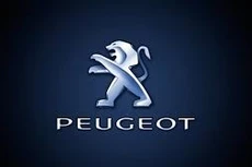 Ngày 16/7/2025, đấu giá xe ô tô hiệu Peugeot tại TP. Đà Nẵng