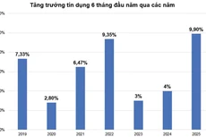 Nguồn: Ngân hàng nhà nước