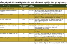 Nhiều DN phát hành trái phiếu với lãi suất hai con số