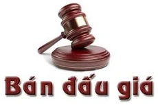 Ngày 22/01/2026, đấu giá khoản nợ của khách hàng Nguyễn Thái Thành tại Agribank Chi nhánh Lý Thường Kiệt