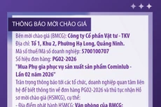 Công ty cổ phần Vật tư - TKV thông báo mời chào giá đơn hàng PG02-2026