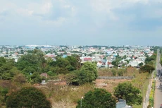 Trung tâm Dịch vụ đấu giá tài sản tỉnh Đồng Nai vừa thông báo đấu giá nhiều khu đất trên địa bàn. Ảnh: Công Thành