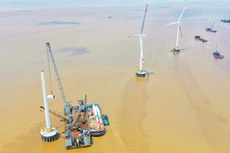 Năm 2025 chứng kiến sự chuyển động mạnh mẽ trong hoạt động đấu thầu lựa chọn nhà đầu tư thực hiện các dự án năng lượng tái tạo. Ảnh: Nguyễn Văn Cường