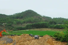 Một số địa phương cho biết, việc đăng ký tham gia đấu giá trực tuyến quyền sử dụng đất ở miền núi, trung du có nhiều khó khăn. Ảnh: Lê Chiếm Khôi