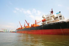 Doanh nghiệp kinh doanh vận tải biển quốc tế phải có bảo lãnh theo quy định của pháp luật tối thiểu là 5 tỷ đồng hoặc mua bảo hiểm để bảo đảm nghĩa vụ của chủ tàu đối với thuyền viên. Ảnh: Lê Tiên