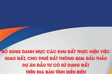 Bổ sung danh mục các khu đất thực hiện việc giao đất, cho thuê đất thông qua đấu thầu dự án đầu tư có sử dụng đất trên địa bàn tỉnh Điện Biên