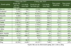 Kết quả kinh doanh nửa đầu năm 2025 của một số doanh nghiệp bảo hiểm nhân thọ 