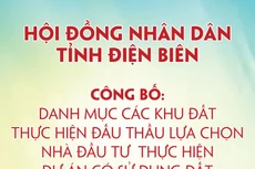 Danh mục các khu đất thực hiện đấu thầu lựa chọn nhà đầu tư thực hiện dự án đầu tư có sử dụng đất trên địa bàn tỉnh Điện Biên