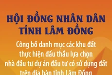 Danh mục các khu đất thực hiện đấu thầu lựa chọn nhà đầu tư thực hiện dự án đầu tư có sử dụng đất trên địa bàn tỉnh Lâm Đồng