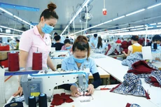 Trong tháng 1/2026, có 48.696 doanh nghiệp gia nhập và tái gia nhập thị trường, tăng 45,59% so với cùng kỳ năm 2025. Ảnh: Tiên Giang