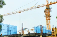 Tiêu chí đánh giá kinh nghiệm nhân sự chủ chốt cần được xây dựng tương ứng với từng vị trí, phù hợp với nhiệm vụ của từng nhân sự. Ảnh: Tiến Giang