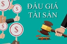 Ngày 12/12/2025, đấu giá toàn bộ khoản nợ của khách hàng tại Agribank Chi nhánh Bình Thạnh