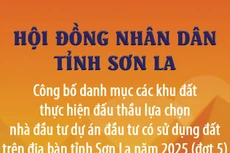 Danh mục các khu đất thực hiện đấu thầu lựa chọn nhà đầu tư thực hiện dự án đầu tư có sử dụng đất trên địa bàn tỉnh Sơn La năm 2025 (đợt 5)