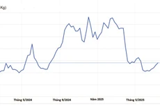 Giá cao su thiên nhiên giao kỳ hạn trên Sở Giao dịch hàng hóa Tokyo (Nguồn: https://tradingeconomics.com/commodity/rubber)