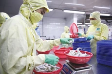 Thực tế hoạt động sản xuất - kinh doanh cho thấy doanh nghiệp vẫn đang vật lộn với nhiều trở ngại. Ảnh: Lê Tiên