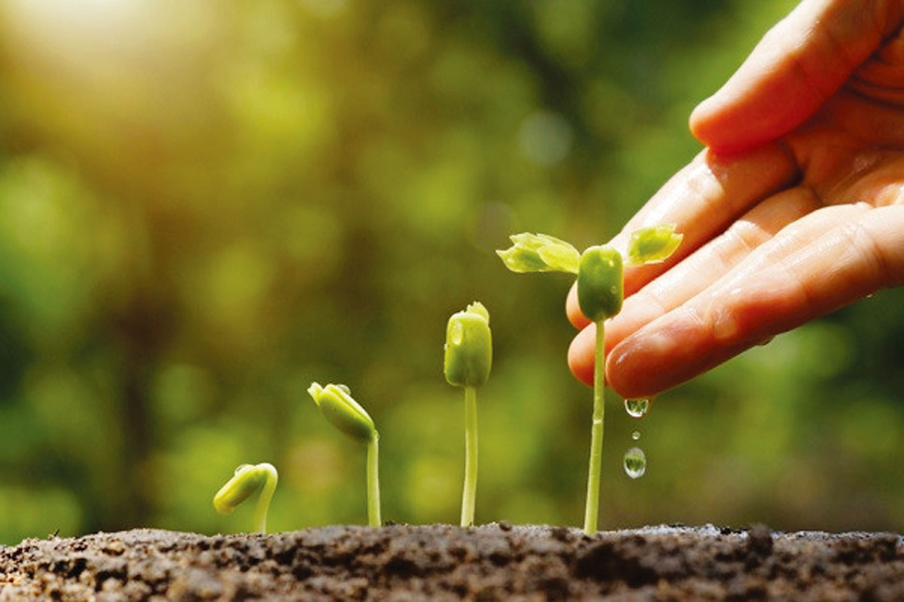 Việt Nam kiên định chọn con đường tăng trưởng xanh và phát triển bền vững cho tương lai đất nước