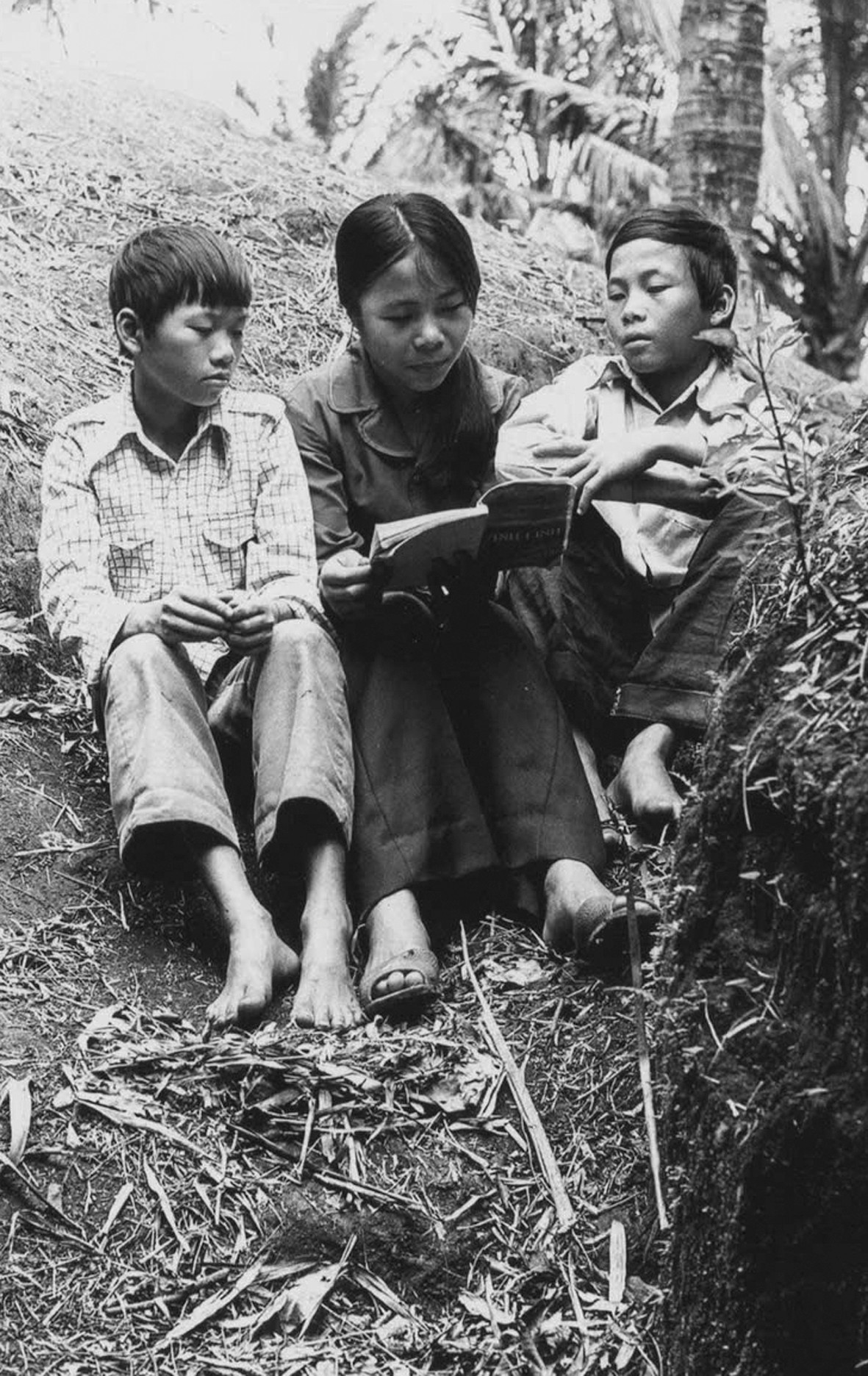 3 em bé sinh ra trong địa đạo Vịnh Mốc khi 11 tuổi