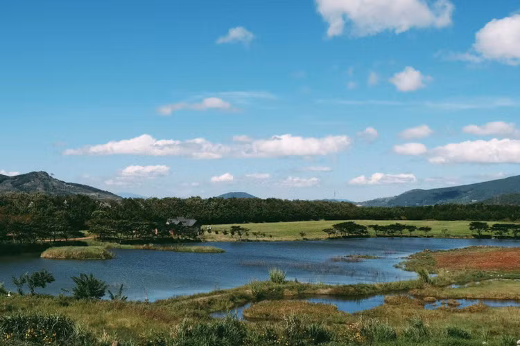 Không chỉ ở Lâm Đồng, tại một số địa phương mô hình Farmstay đang nở rộ. Ảnh: Internet