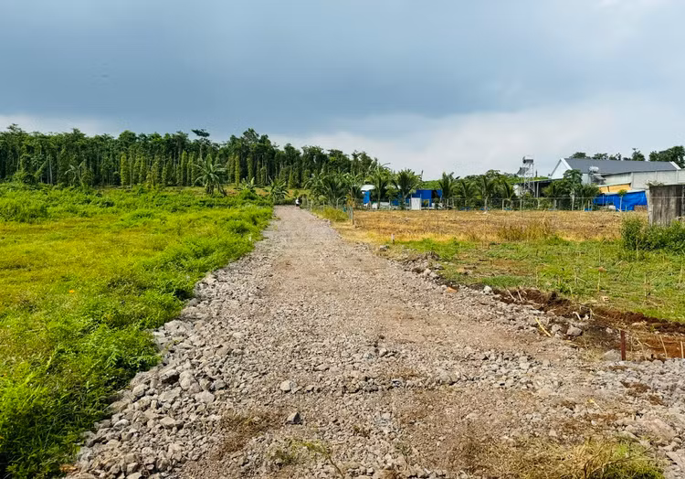 Dù thanh khoản chưa bùng nổ, nhiều chuyên gia cho rằng thị trường đất vùng ven TP.HCM đang bước vào giai đoạn dò đáy khi mặt bằng giá đã điều chỉnh đáng kể. Ảnh: Gia An