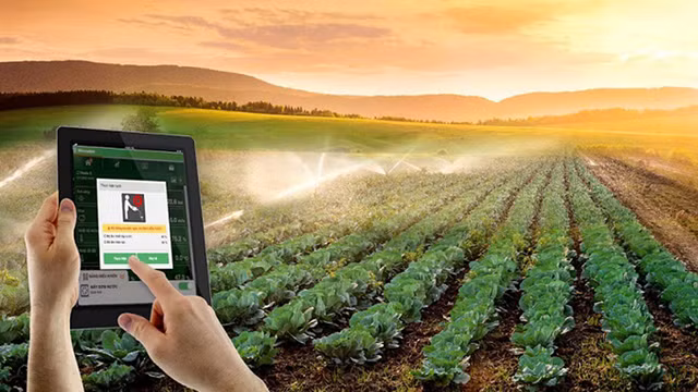 Ứng dụng IoT phục vụ tưới tiêu trong nông nghiệp (ảnh Internet)