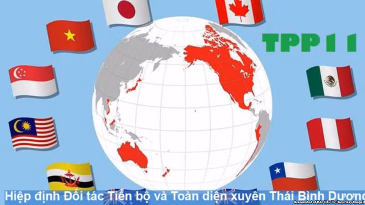 CPTPP có sự tham gia của 11 quốc gia, trong đó có Việt Nam. (Ảnh: Internet)
