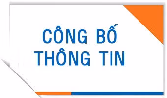 Năm 2019 vẫn tiếp tục còn nhiều doanh nghiệp nhà nước chưa công bố thông tin (ảnh: Internet)