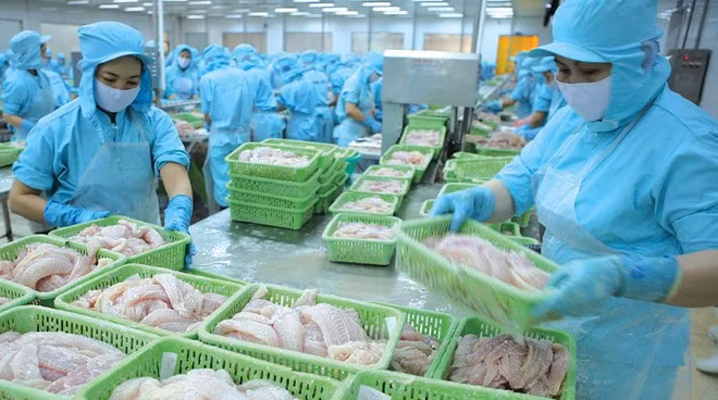 Xuất khẩu thủy sản trong tháng 3/2020 của Việt Nam giảm gần 20% so với cùng kỳ năm 2019 (ảnh: Internet)