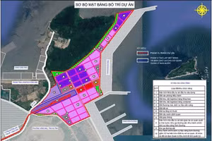 Sơ bộ mặt bằng bố trí Dự án Trung tâm Logistics và Dịch vụ hậu cảng Sơn Dương (ảnh: Ban Quản lý KKT tỉnh Hà Tĩnh)