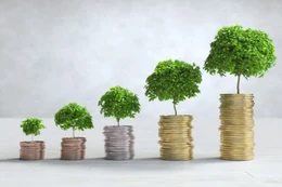 Hạ tầng giao thông Đèo Cả báo lãi 324,3 tỷ đồng sau nửa năm, tăng 33%