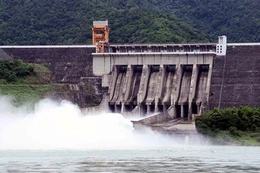 PCC1 trúng gói thầu tư vấn 208 tỷ đồng tại EVN