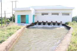 Bạc Liêu tìm nhà thầu xây lắp 4 cống điều tiết nước thủy sản