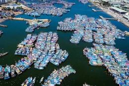 Đà Nẵng: Gói thầu 57,8 tỷ tại Âu thuyền Thọ Quang trao sau khi điều chỉnh tiêu chí