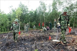 Hơn 677 tỷ đồng rà phá bom mìn, vật nổ tại Quân khu 3