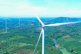 Liên danh Tập đoàn Tài Tâm - Tài Tâm Quảng Trị muốn đầu tư 2 dự án điện gió 3.696 tỷ đồng tại Gia Lai