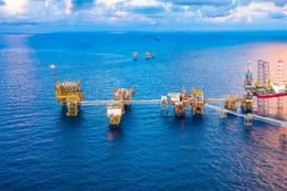 Tổng hợp Dầu khí Vũng Tàu trúng gói thầu 516 tỷ đồng tại TP.HCM