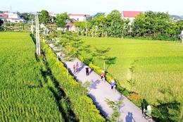 Lăng kính đấu thầu ngày 24/3