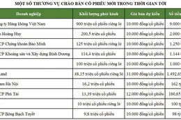 Chứng khoán thăng hoa, doanh nghiệp ồ ạt huy động vốn