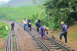Liên danh Quảng Bình - Vĩnh Phú trúng gói thầu sửa chữa đường sắt 55 tỷ đồng