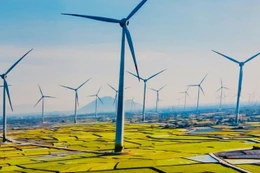VINENERGO đăng ký đầu tư Dự án Nhà máy Điện gió Vĩnh Thuận 4.679 tỷ đồng