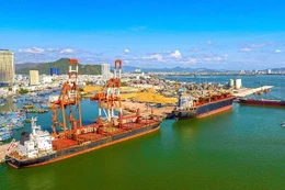 Gia Lai chấp thuận đầu tư hơn 6.000 tỷ đồng xây dựng Bến cảng Phù Mỹ