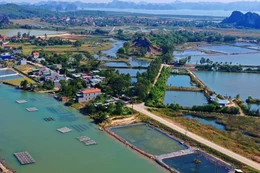 Quảng Ninh: 1 nhà thầu tham dự gói thầu hạ tầng khu tái định cư hơn 115 tỷ đồng