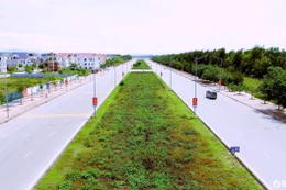 Liên danh Cây xanh Hà Đô - Thương mại 68 trúng gói thầu 66 tỷ đồng tại Nghệ An