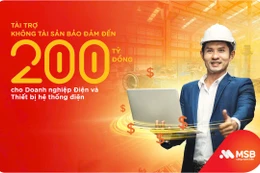 MSB hỗ trợ doanh nghiệp điện chủ động dòng vốn, giữ vững tiến độ