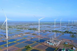 Cà Mau công bố Dự án nhà máy điện gió hơn 2.800 tỷ đồng