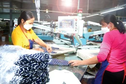 Năm 2025, có hơn 300.000 doanh nghiệp thành lập mới và quay trở lại hoạt động, tăng trên 30% so với năm 2024. Ảnh: LTT