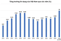 Tín dụng tăng cao, cần kích hoạt “bộ giảm xóc vĩ mô”
