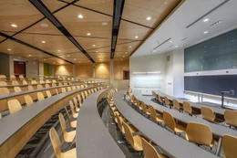 Ảnh minh họa: Internet