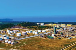 Ảnh minh họa: Internet