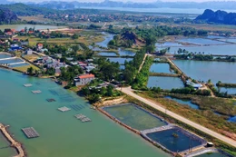 Quảng Ninh: 155 tỷ đồng xây Khu tái định cư tại xã Hoàng Tân